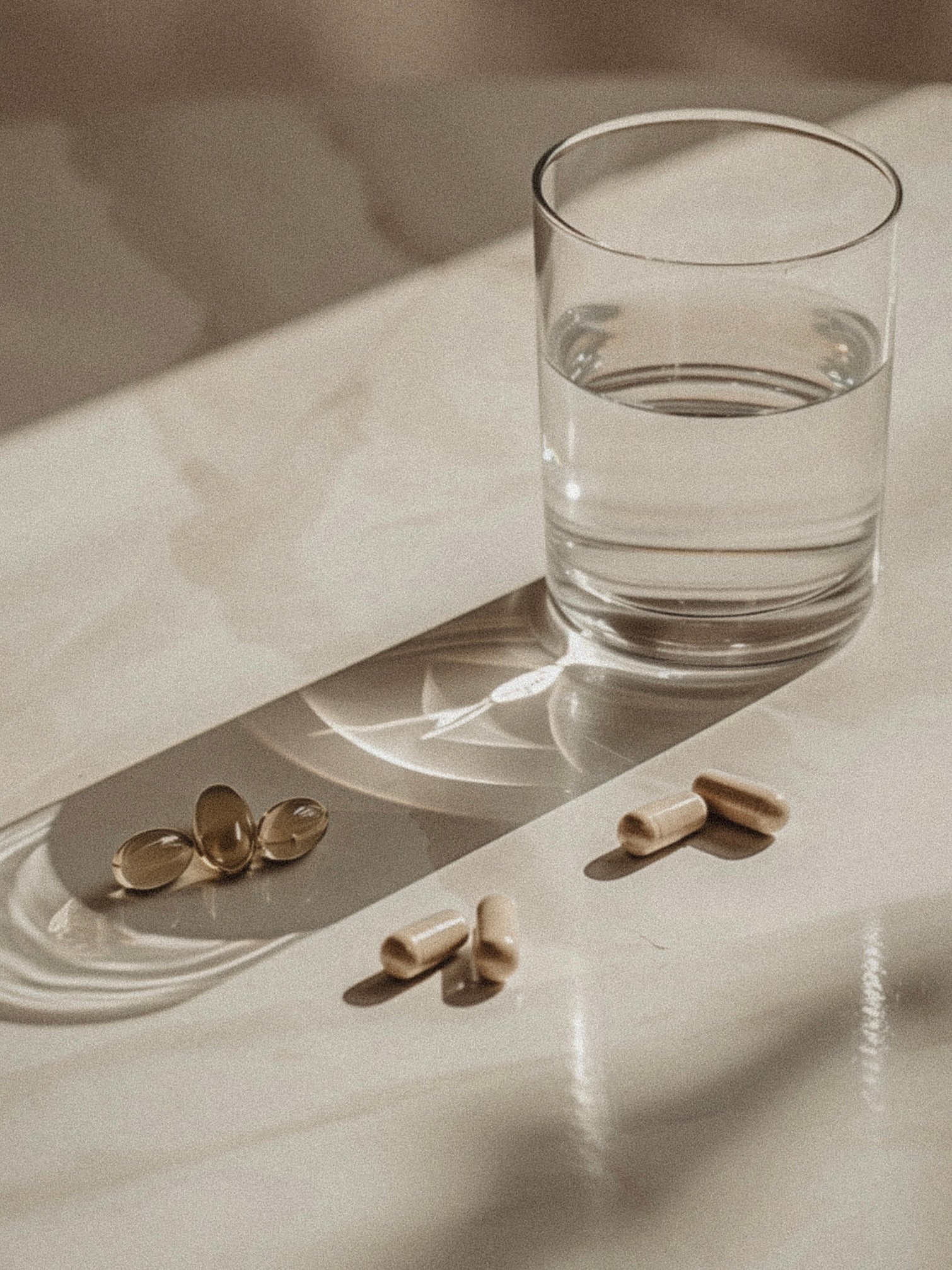 Top Longevity Supplements | Science Backed Supplements for Healthy Aging