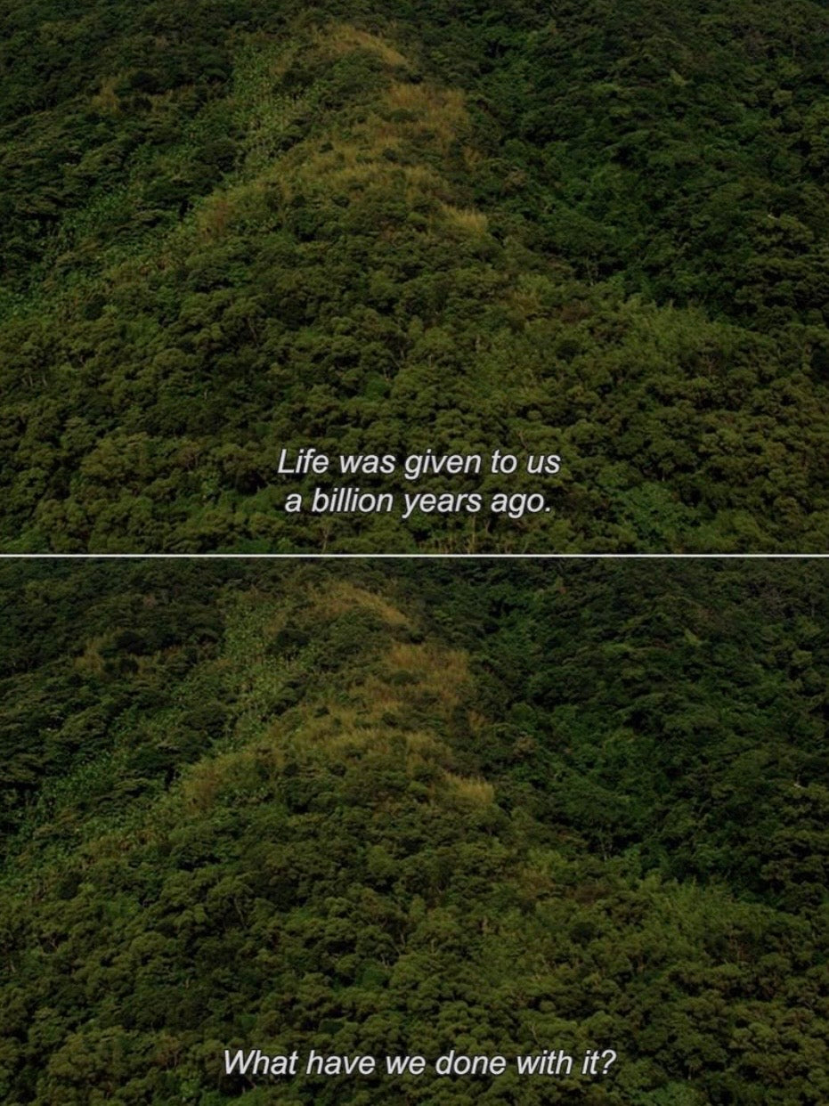 THE BIOLOGICAL COST OF LOSING YOUR CONNECTION TO NATURE